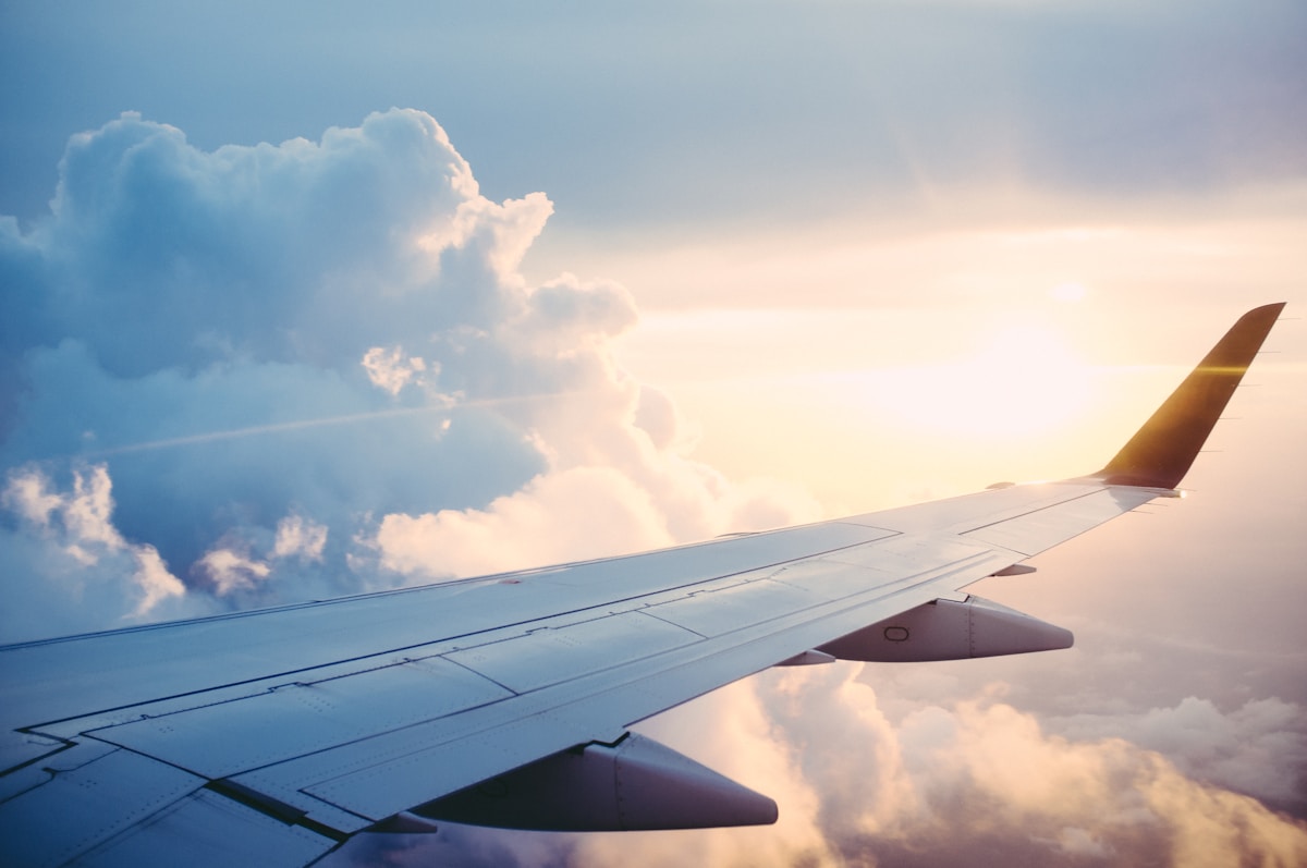 Aircraft cargo movement